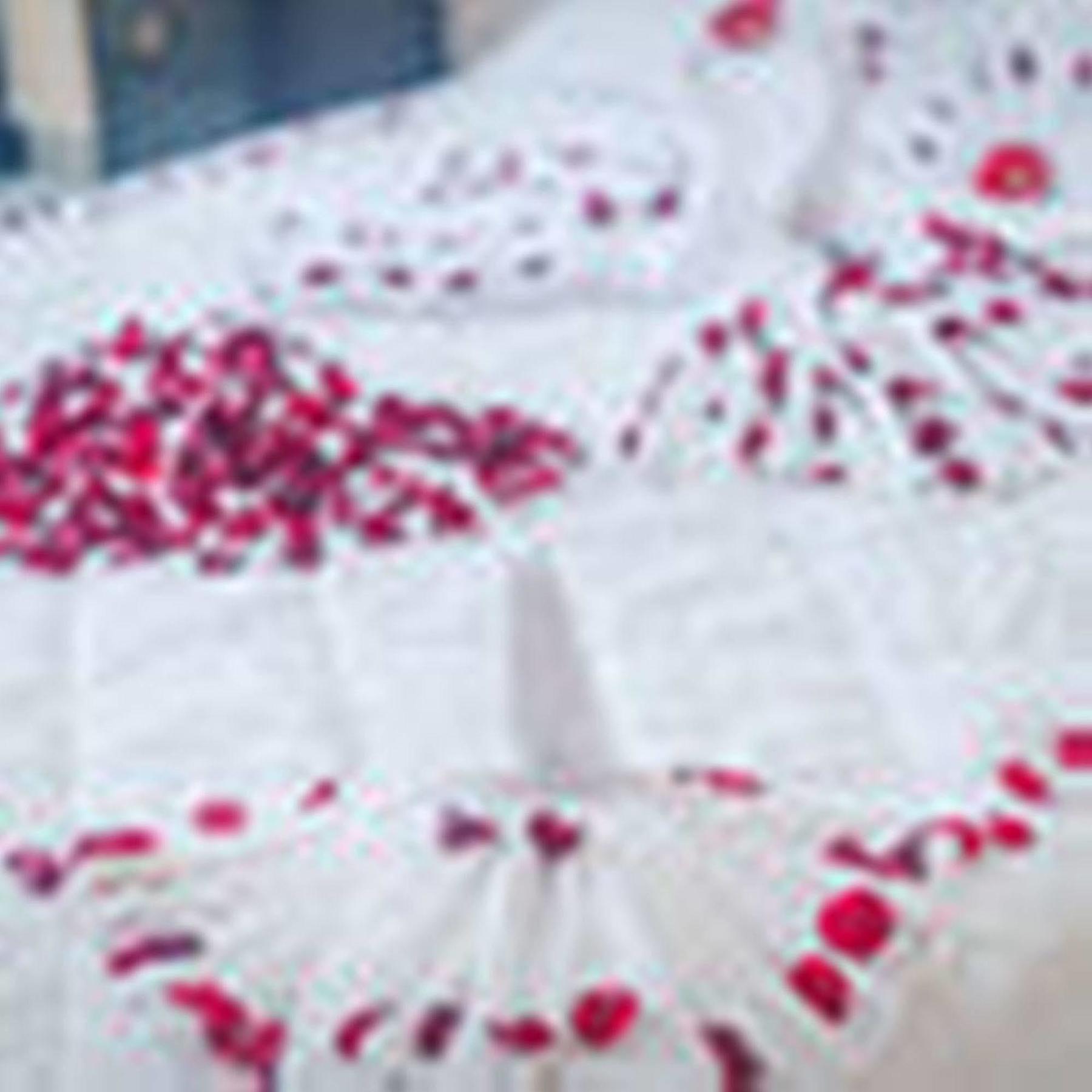 Oyo 117 Gina Hotel Da Nang Bagian luar foto