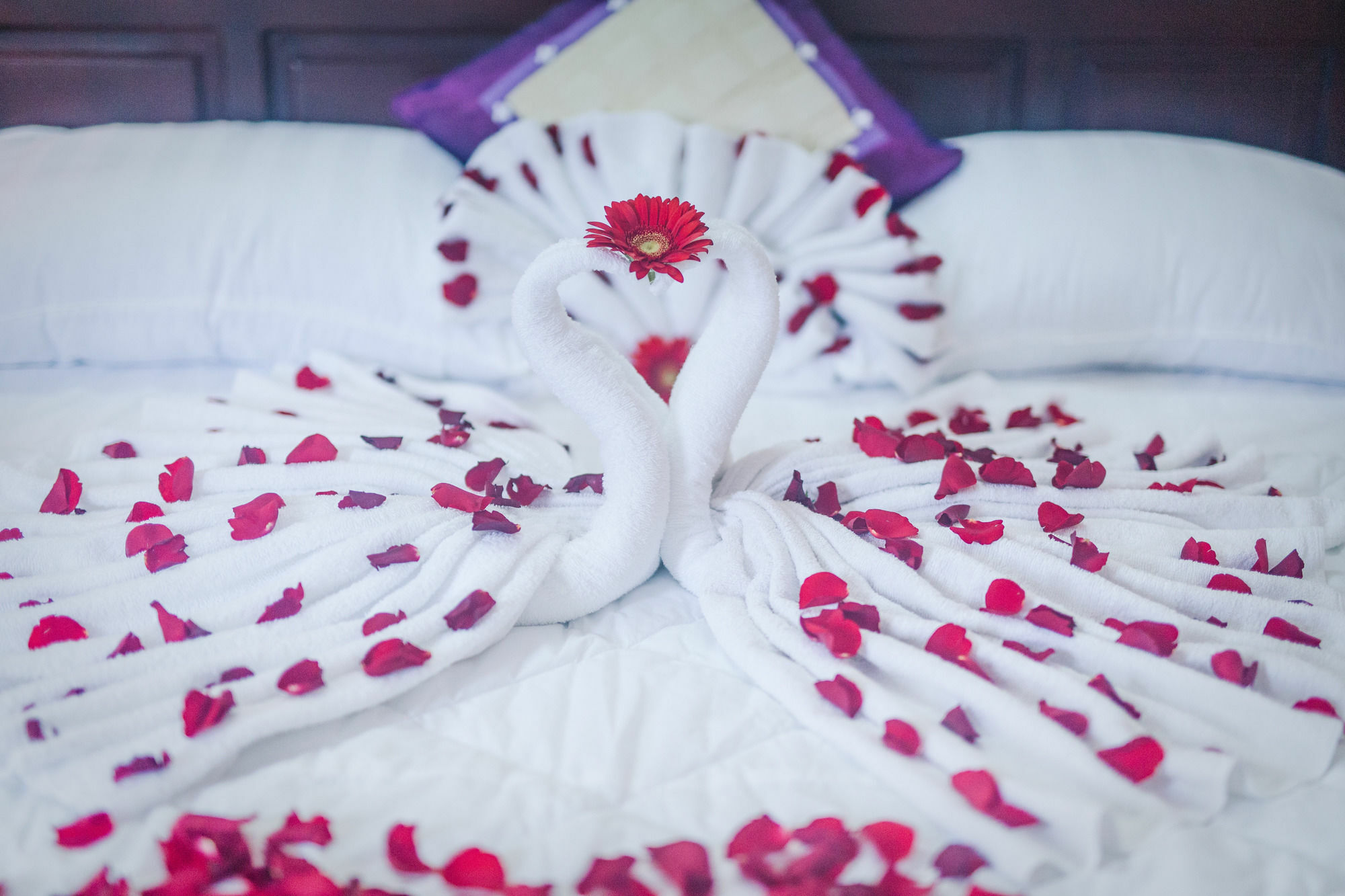Oyo 117 Gina Hotel Da Nang Bagian luar foto